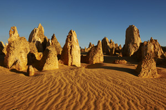 Discover the Pinnacles one of Western Australia's most iconic landmarks when you join this Pinnacles, Koalas & Sand Boarding 4WD Adventure Full Day Tour with Sightseeing Pass Australia
