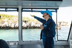Glass Bottom Boat Cruise, Dolphin Penguin & Sea lion Cruise - Wild Luxury Package for 2, Perth Wildlife Encounters, Sightseeing Pass Australia