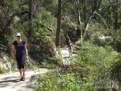 Waterfall Gully Hike with PureSA Tours, South Australia | Sightseeing Pass Australia