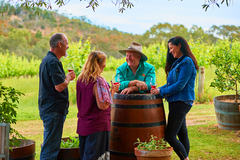 A wonderful day touring with a local tour company in Clare Valley sipping Riesling and indulging in local cuisine. Book today with Sightseeing Pass South Australia