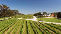 A Taste of Hahndorf Gourmet Food & Wine e-Bike Tour (with picnic), Bike About Cycling Tours & Hire, Sightseeing Pass Australia