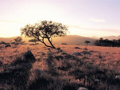3 Day Flinders Ranges Outback Tour, South Australia.  Book online today with Sightseeing Pass Australia
