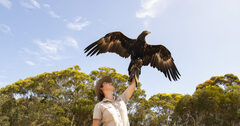 2 Day Ultimate Kangaroo Island Tour with Sealink South Australia