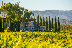 Blend your own Experience at The Lane Vineyard  Adelaide Hills South Australia 