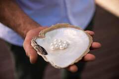 Pearl Showroom Walking Tour in Broome is a great way to help you purchase the right Broome Pearl for you!  Book online today with Sightseeing Pass Australia