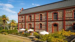 Chateau Tanunda 'Old Vines Expressions Tasting' experience Barossa Valley.  Book online today with Sightseeing Pass Australia.