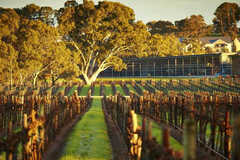 Book your Barossa & Hahndorf Highlights with Sightseeing Pass South Australia today!