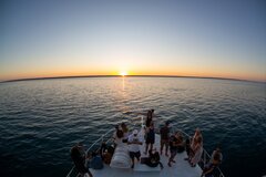 Sunset Humpback Whale Watching Cruise, Exmouth Western Australia.  Book online today for instant confirmation with Sightseeing Pass Australia.