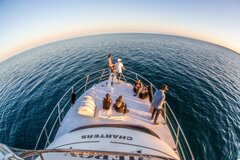 Sunset Humpback Whale Watching Cruise, Exmouth Western Australia.  Book online today for instant confirmation with Sightseeing Pass Australia.