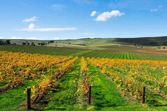 Wine tours in the Clare Valley South Australia.  Book online today with Sightseeing Pass Australia