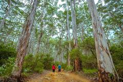 2 day food lovers tour of Margaret River all inclusive of meals and accommodation.  Book online today with Sightseeing Pass Australia