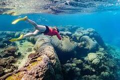 Ningaloo Reef Snorkel Adventure is a must do experience when you visit the Ningaloo Reef in Western Australia.  Book online today with Sightseeing Pass Australia