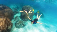 Ningaloo Reef Snorkel Adventure is a must do experience when you visit the Ningaloo Reef in Western Australia.  Book online today with Sightseeing Pass Australia