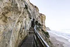 Great Ocean Road Bus Tour plus the 12 Apostles, Forest Walk, Koalas and more can be experienced on this value for money full day tour!  Book online today with Sightseeing Pass Australia. 