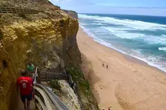 Great Ocean Road Bus Tour plus the 12 Apostles, Forest Walk, Koalas and more can be experienced on this value for money full day tour!  Book online today with Sightseeing Pass Australia. 