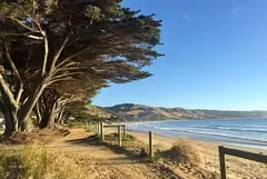 Great Ocean Road Bus Tour plus the 12 Apostles, Forest Walk, Koalas and more can be experienced on this value for money full day tour!  Book online today with Sightseeing Pass Australia. 