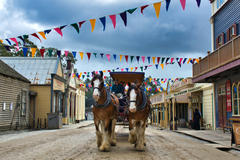 Sovereign Hill, Botanical Gardens & Melbourne Skydeck Full Day Tour.  Book online today for the best rates with Sightseeing Pass Australia.