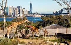 Visit Taronga Zoo in Sydney, one of Australia's most popular experiences.  Book online today with Sightseeing Pass Australia 