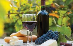 Mount Tamborine Winery Tour with Gourmet lunch + Hop on Hop Off Afternoon.  Book online today with Sightseeing Pass Australia