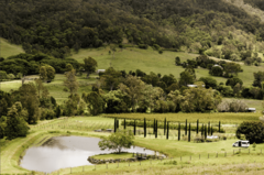 Mount Tamborine Winery Tour with Gourmet lunch + Hop on Hop Off Afternoon.  Book online today with Sightseeing Pass Australia