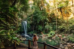 Pineapple Tours & Luxury Experiences Gold Coast Queensland Hop on Hop off Day Pass + Glow Worm Tour - Gold Coast Pickup. Book today with Sightseeing Pass Australia