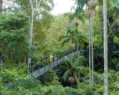 Pineapple Tours & Luxury Experiences Gold Coast Queensland Hop on Hop off Day Pass + Glow Worm Tour - Gold Coast Pickup. Book today with Sightseeing Pass Australia