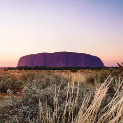 Book your AAT Kings Ayers Rock Sunset Tour when you visit the  Northern Territory.  Visit Sightseeing Pass Australia for prices and instant confirmation.