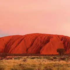 Book your AAT Kings Ayers Rock Sunset Tour when you visit the  Northern Territory.  Visit Sightseeing Pass Australia for prices and instant confirmation.