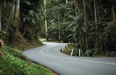 Hop on Hop off Wine Tasting Tour Mount Tamborine from the Gold Coast.  Book today with Sightseeing Pass Australia