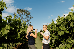 Hop on Hop off Wine Tasting Tour Mount Tamborine from the Gold Coast.  Book today with Sightseeing Pass Australia