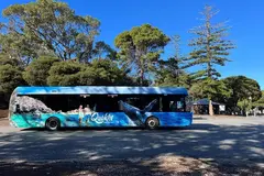 Bayseeker Tour Rottnest Island Perth, Western Australia Bayseeker Island Tour Rottnest Island is a great way to see the Island in air conditioned comfort. Book online today with Sightseeing Pass Australia