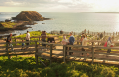Healesville Sanctuary and Phillip Island Wildlife Park Bus Tour.  Book online today with Sightseeing Pass Australia.