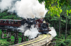 Puffing Billy And Healesville Sanctuary Scenic Bus Tour.  Book online today with Sightseeing Pass Australia for all your Melbourne Sightseeing experiences.