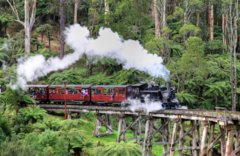 Puffing Billy And Healesville Sanctuary Scenic Bus Tour.  Book online today with Sightseeing Pass Australia for all your Melbourne Sightseeing experiences.