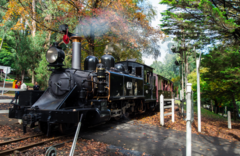 Puffing Billy And Healesville Sanctuary Scenic Bus Tour.  Book online today with Sightseeing Pass Australia for all your Melbourne Sightseeing experiences.