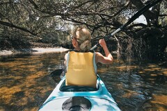 Dolphin Sanctuary Guided Eco Kayak Tour is the perfect experience for the whole family when you visit Adelaide.  Book online today with Sightseeing Pass Australia 