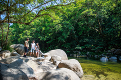 Cape Tribulation, Daintree & Mossman Gorge Full Day Tour from Cairns.  Book today with Sightseeing Pass Australia