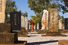 Explore Broome and town and experience the best of Western Australia on this Half Day Town Tour. Book online with Sightseeing Pass Australia today!