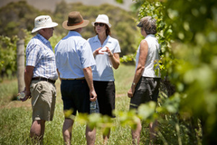 Discover the best of Margaret River with a Wine Tour