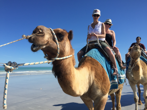 Lisa D'Souza shows us how to ride Camels in Broome