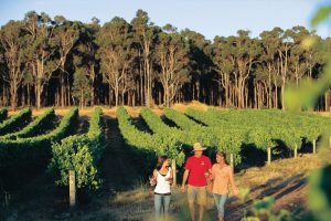 Top 10 Things to do in Margaret River