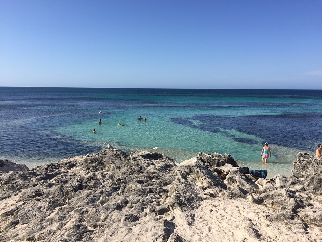 Great fun on Rottnest Island today