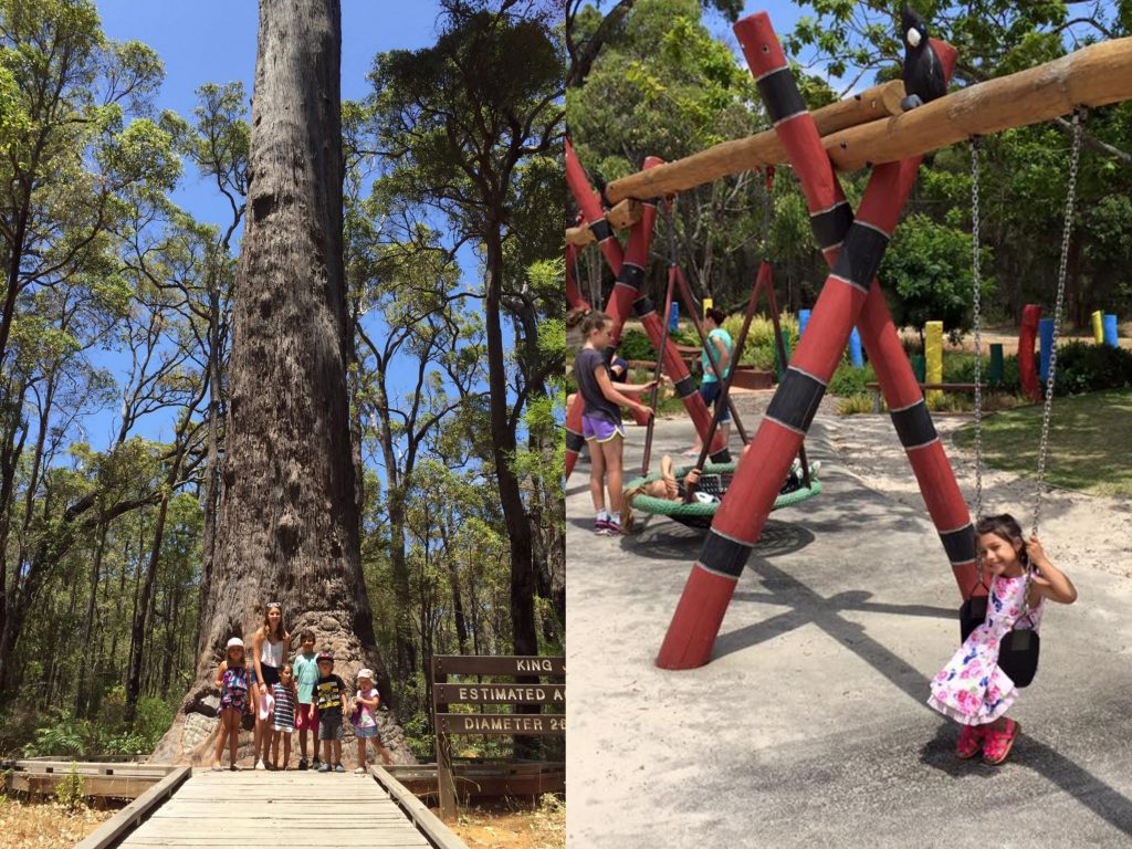 Kids Manjimup Tall Timber Tree