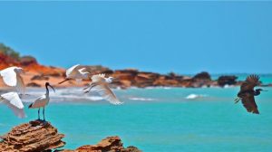 Broome, Western Australia