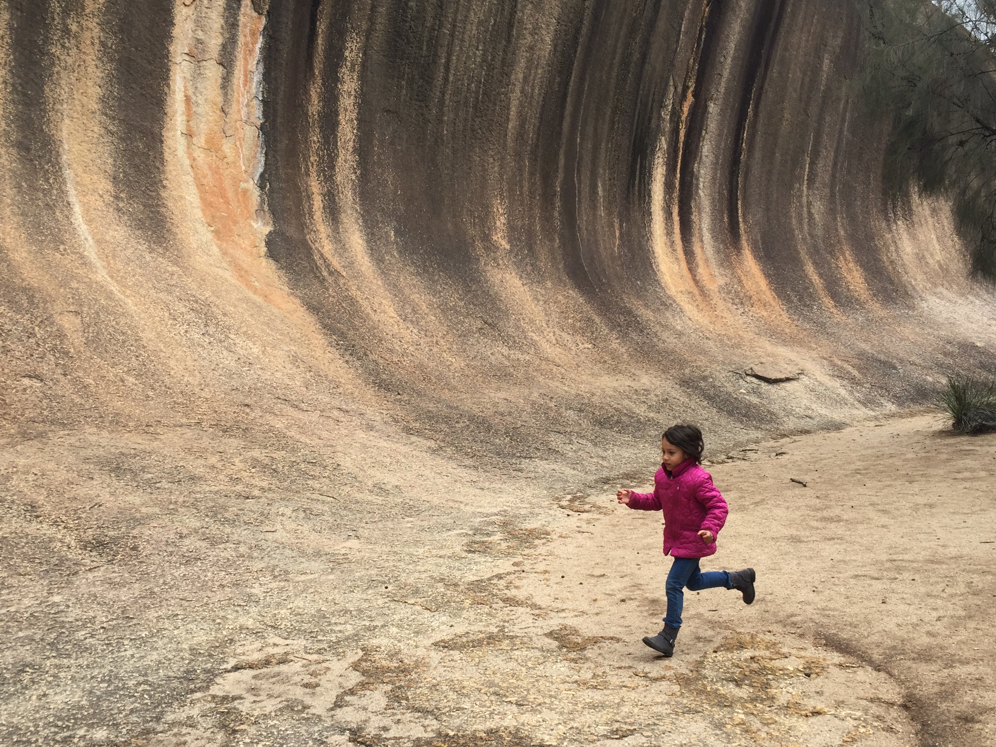 Explore Wave Rock with sightseeing pass
