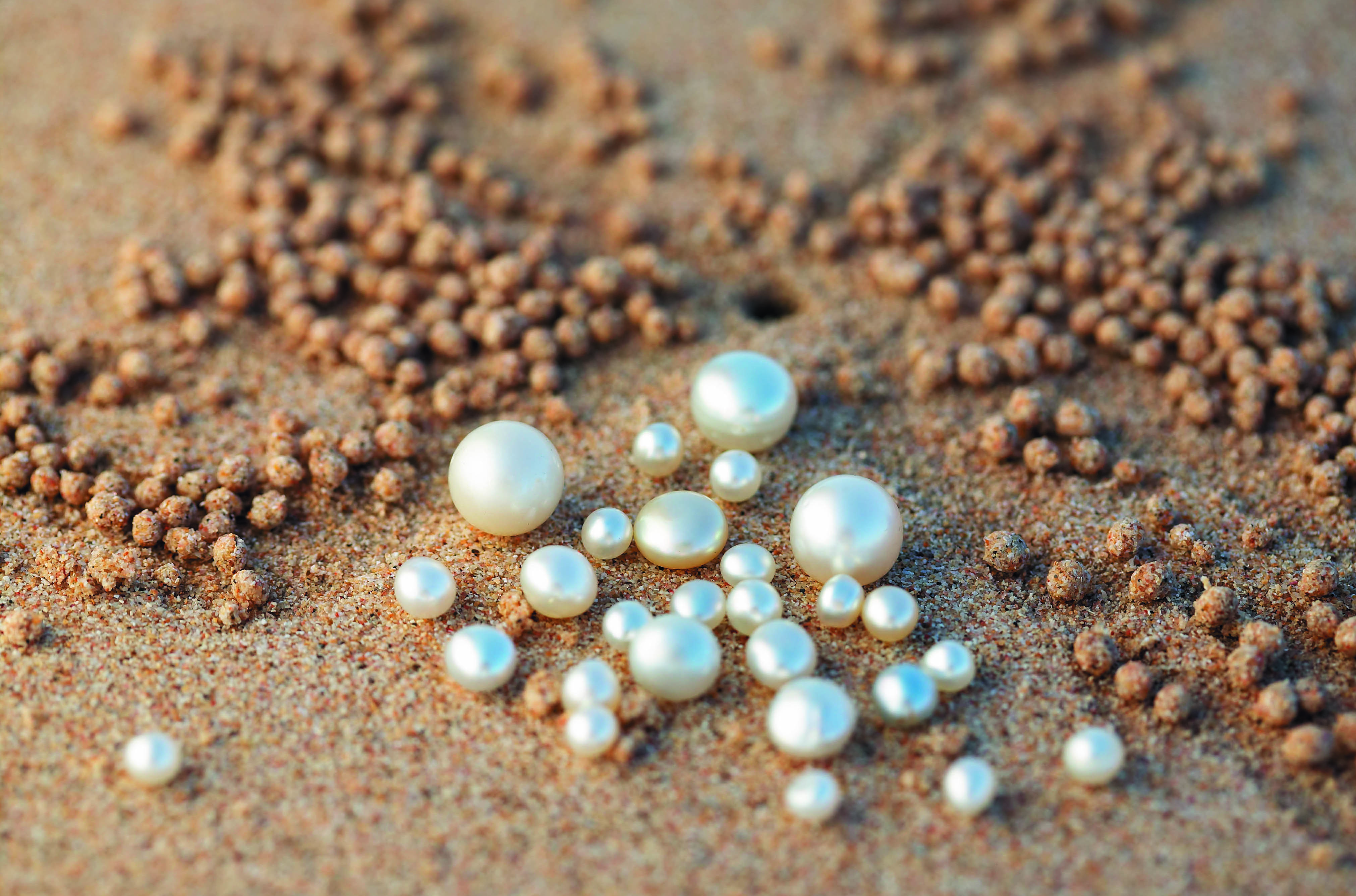 Pearls on Sand - Exciting Places Perth