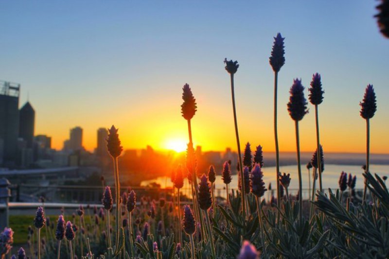 Enjoy the view from Kings in Perth Western Australia