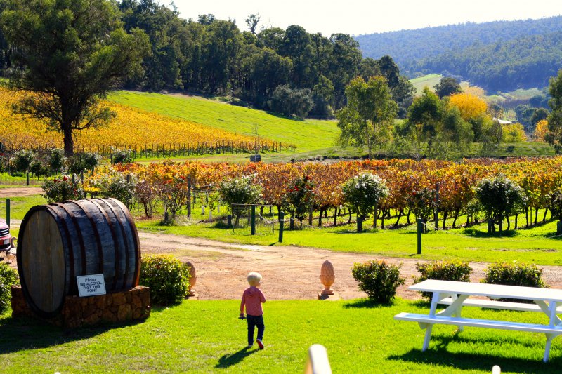 Explore the Bickley Valley in Perth on a full day tour