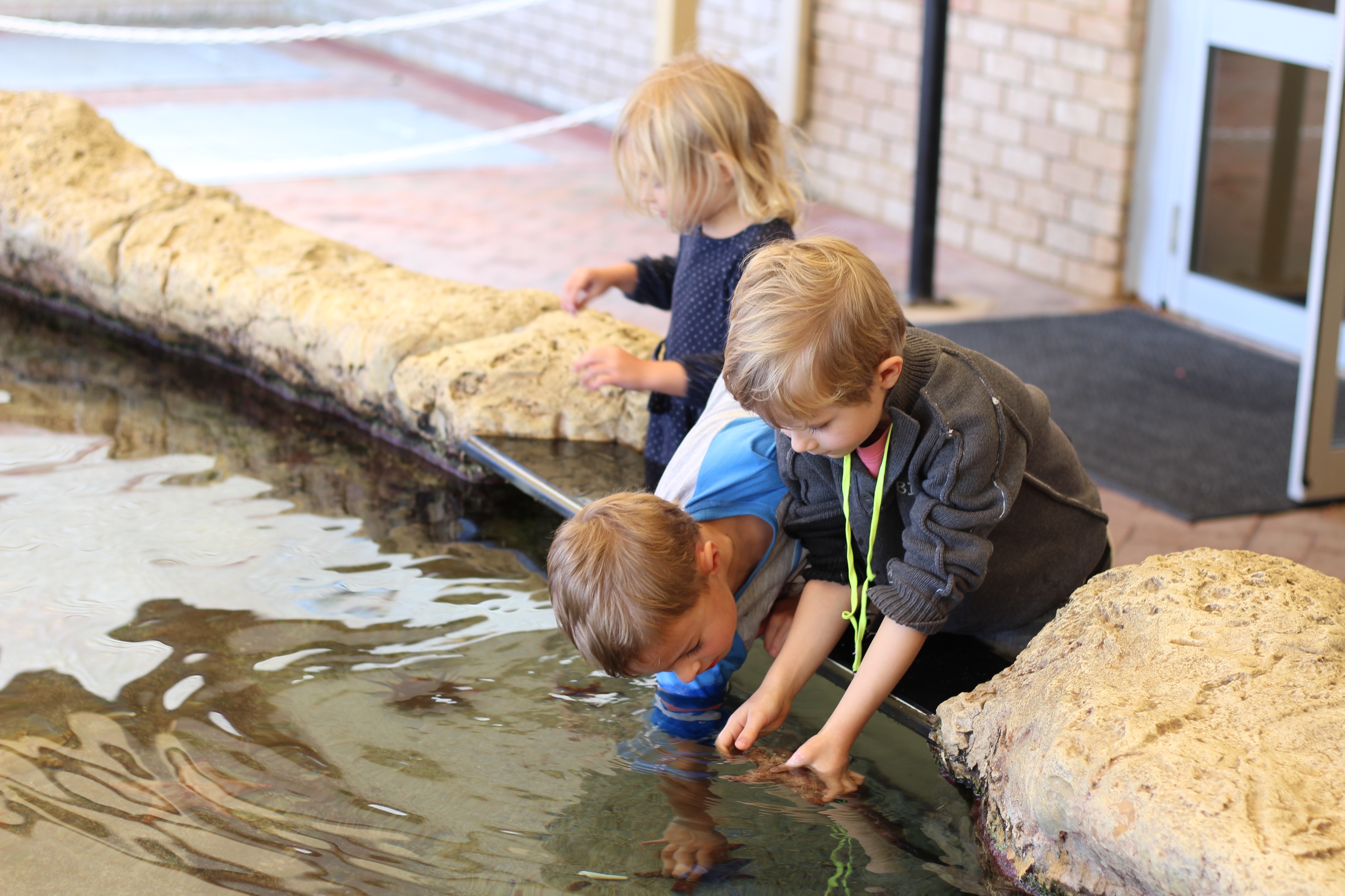 AQWA, The Aquarium of Western Australia