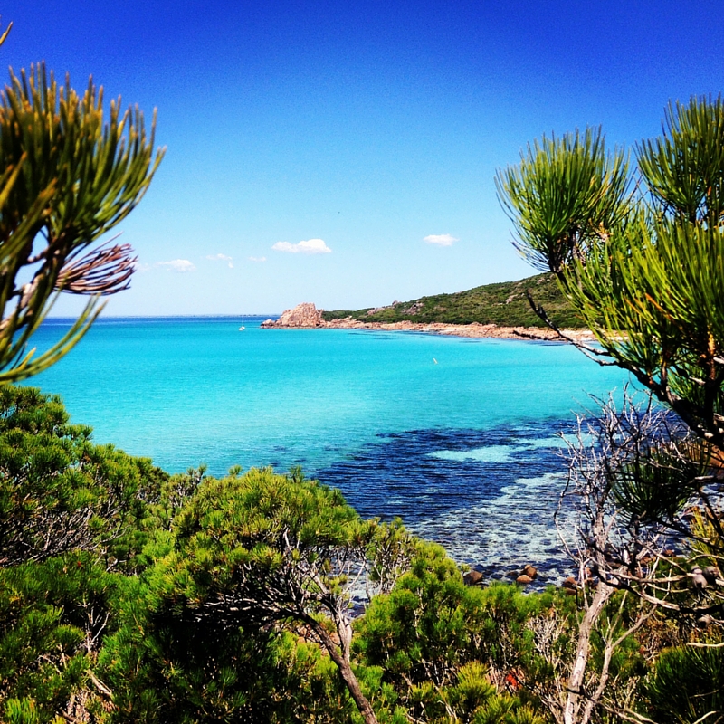 Day Tours Perth to Margaret River